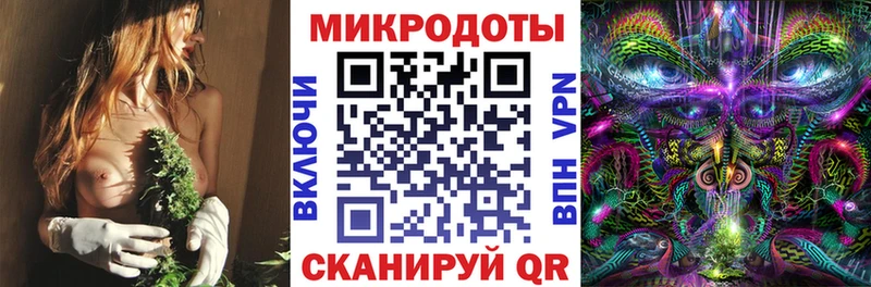 Псилоцибиновые грибы мицелий  дарнет шоп  маркетплейс клад  Сунжа 